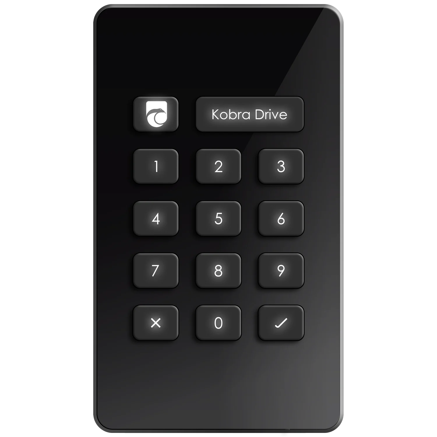 スマートカードと一体型キーパッドを備えたKobra Drive VS